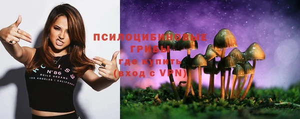 mdpv Белокуриха