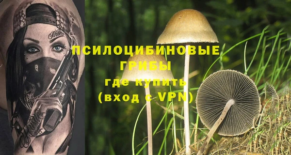 трава Беломорск