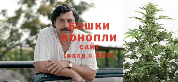 mdpv Белокуриха